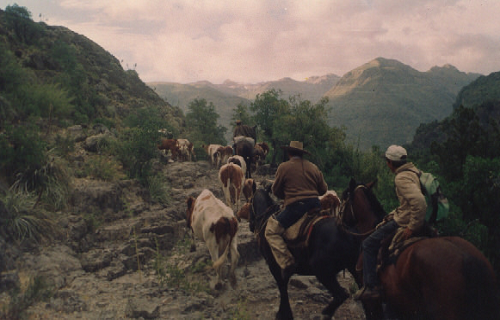 Ruta del arriero de San Fabián de Alico