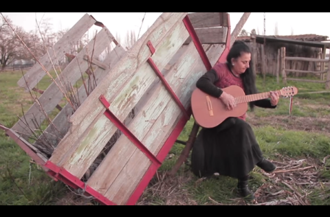 Cantora campesina:
