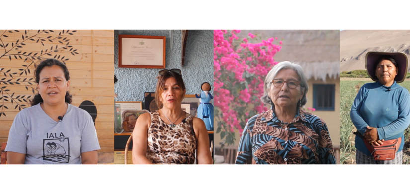 Red de Mujeres Trabajadoras Rurales