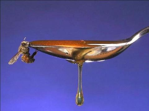    Colmenares Aguas del Sur