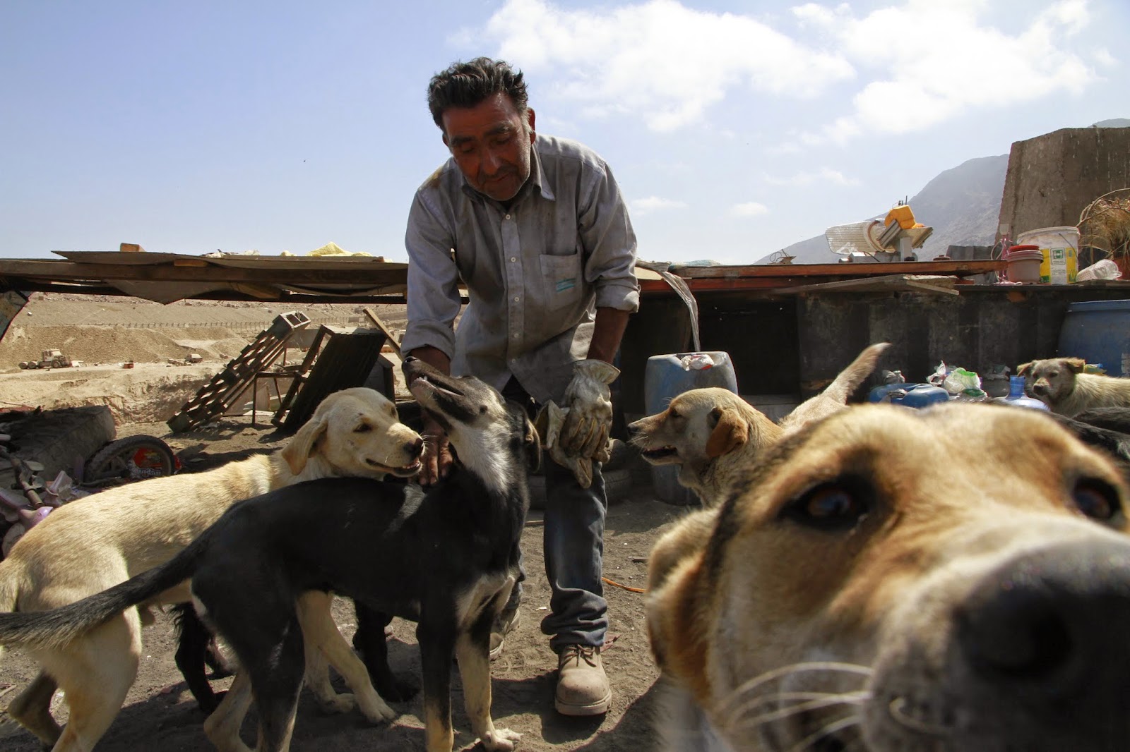En la frontera: Escritores del Norte Grande 