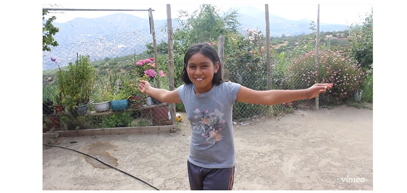 Vivir libre en el Campo