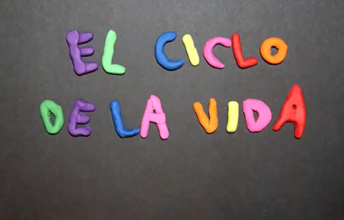 Cortometraje El Ciclo de la Vida