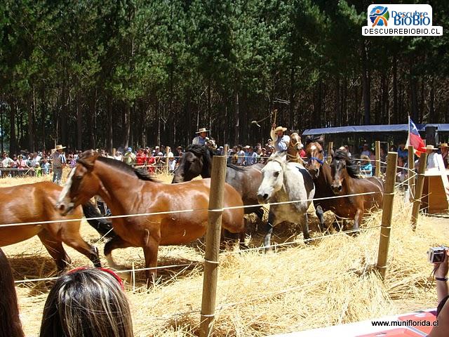 Tradiciones de Florida