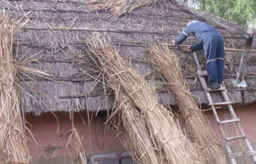 Viviendas Tradicionales en Hacienda El Tangue