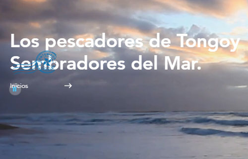 Pescadores de Tongoy: Sembradores del mar