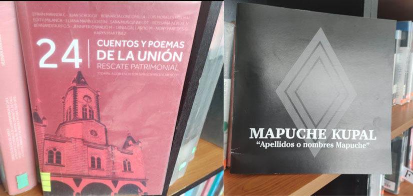 Recomendaciones literarias desde la región de Los Ríos